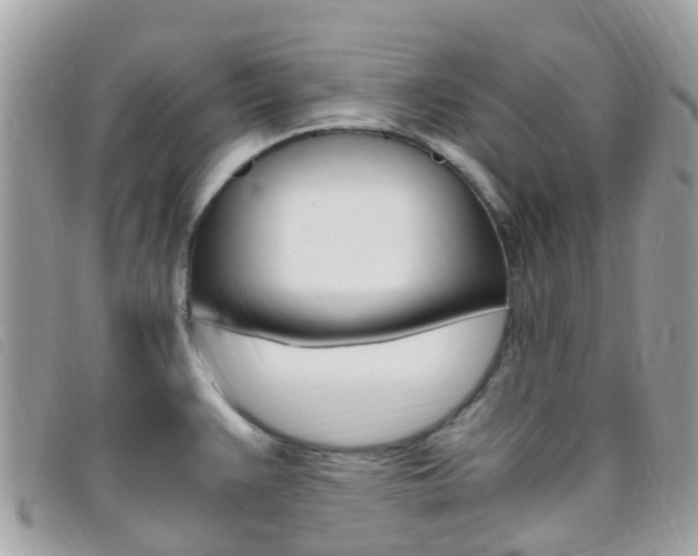 X0000095911383200801110817