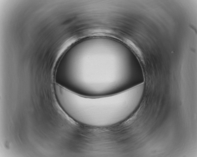 X0000095911384200801110817