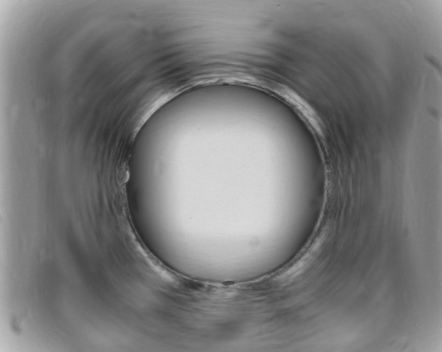 X0000095911385200801110817