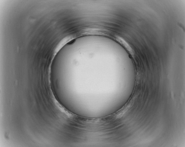 X0000095911386200801110817