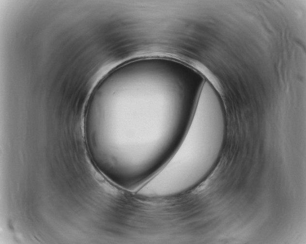 X0000095911388200801110817