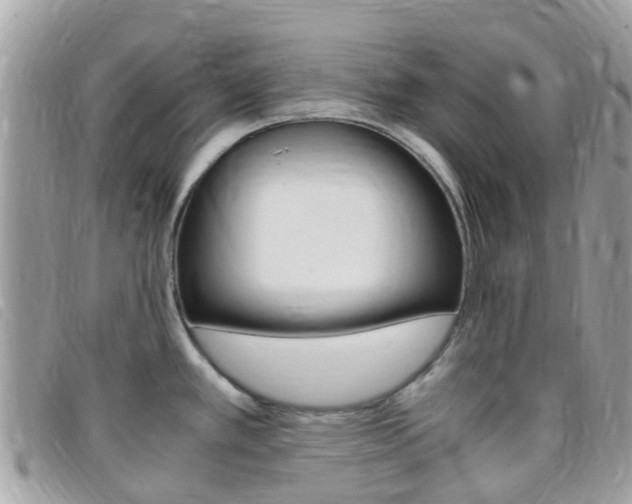 X0000095911389200801110817
