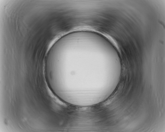 X0000095911390200801110817