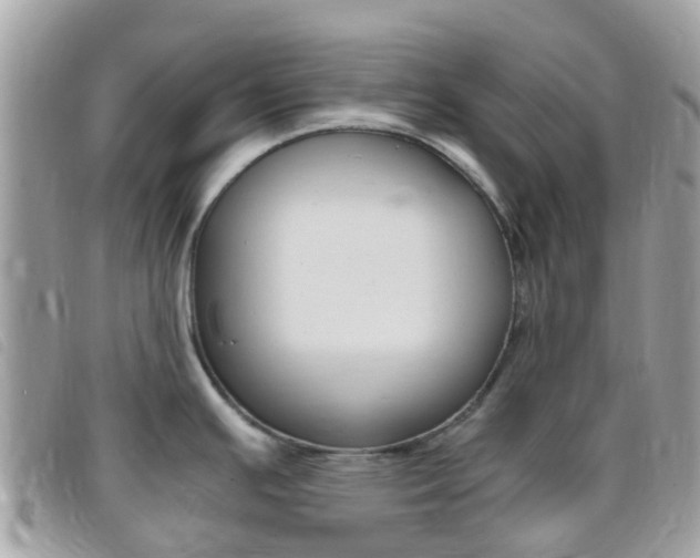 X0000095911391200801110817