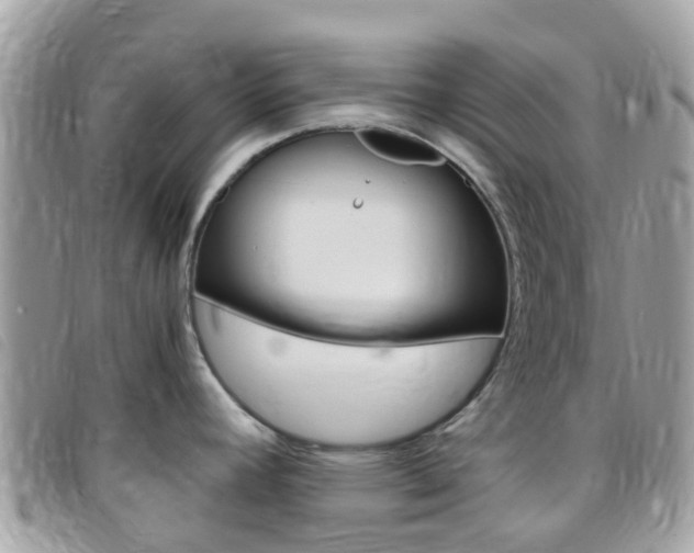 X0000095911392200801110817