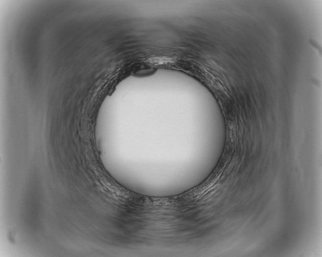 X0000095911393200801110817