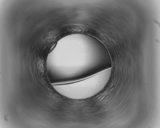 X0000095911394200801110817