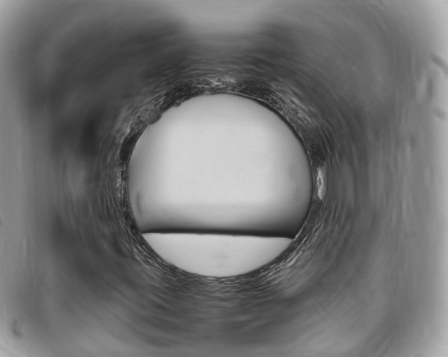 X0000095911395200801110817