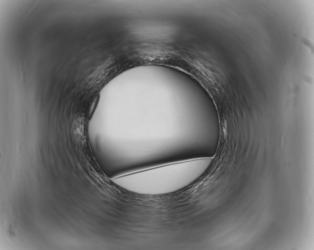 X0000095911396200801110817