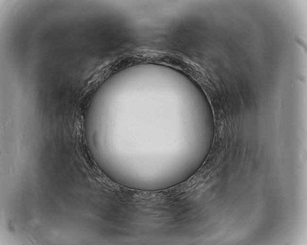 X0000095911397200801110817