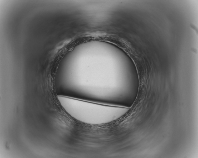 X0000095911398200801110817