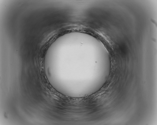 X0000095911399200801110817