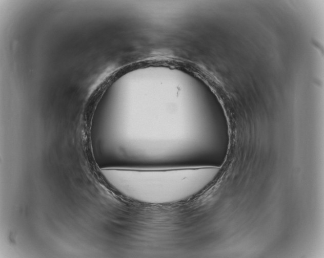 X0000095911400200801110817