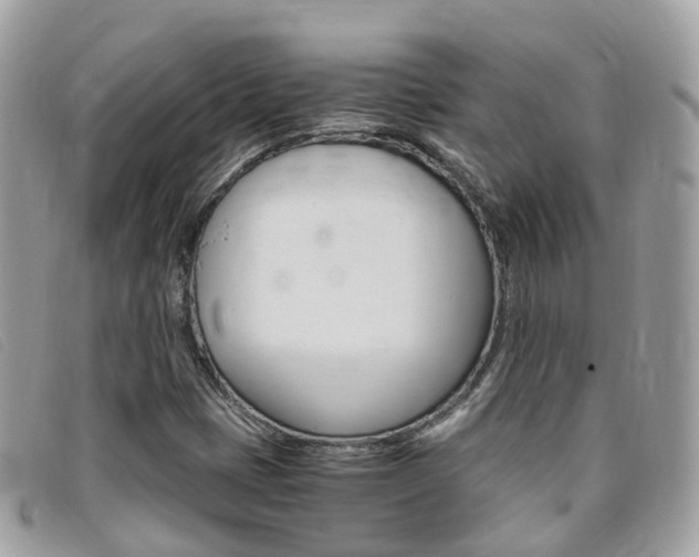 X0000095911401200801110817