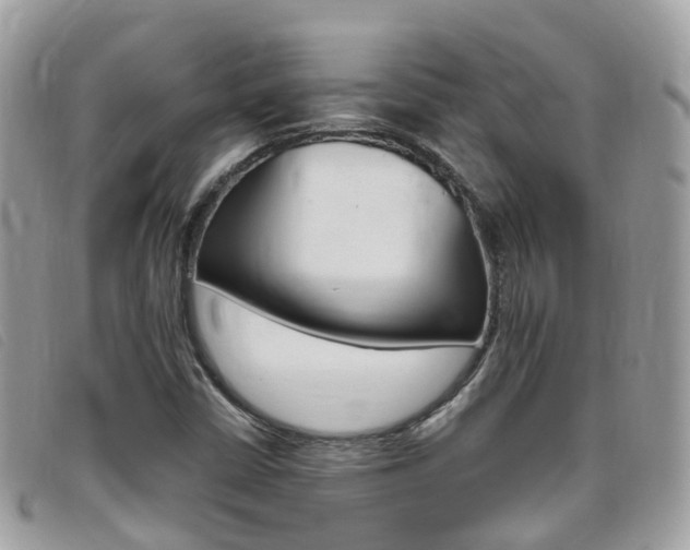 X0000095911402200801110817