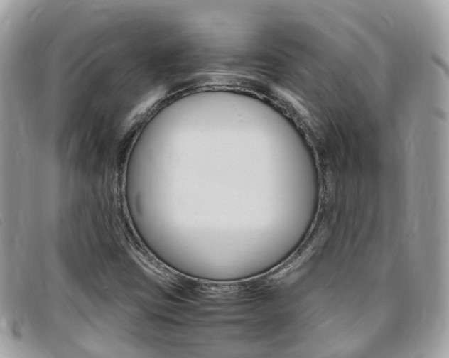 X0000095911403200801110817
