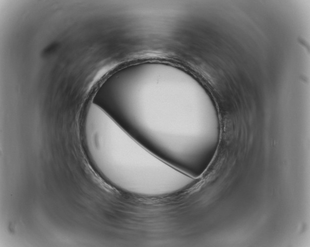 X0000095911404200801110817