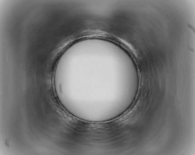 X0000095911407200801110817