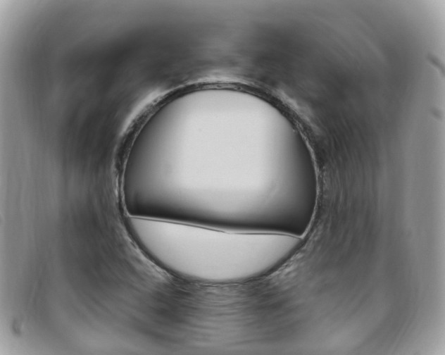 X0000095911408200801110817