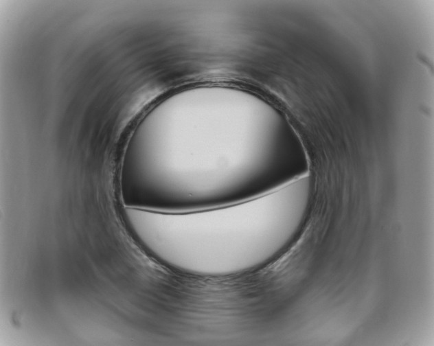 X0000095911410200801110817