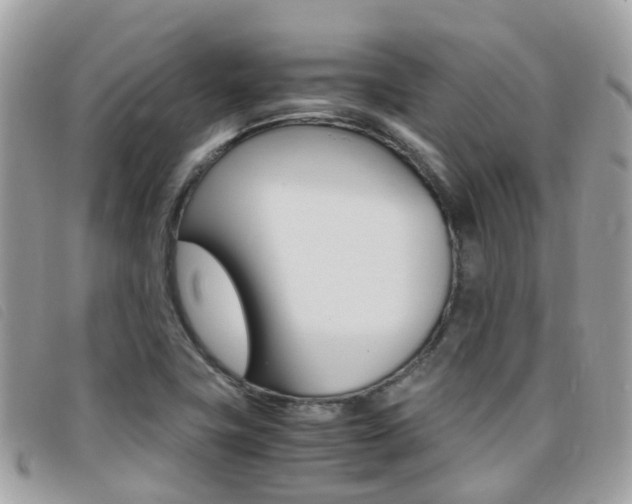 X0000095911411200801110817