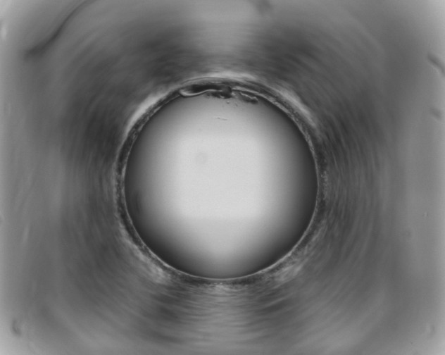 X0000095911412200801110817
