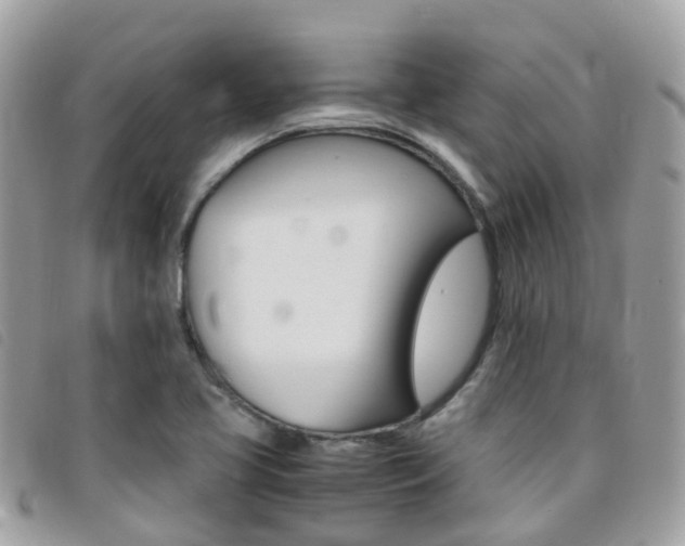 X0000095911413200801110817