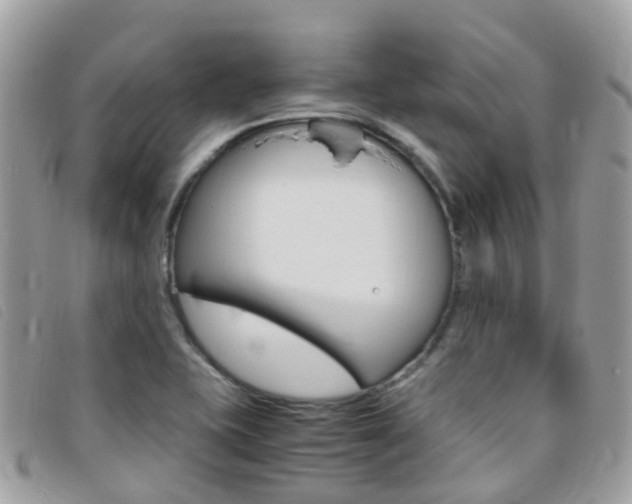 X0000095911415200801110817