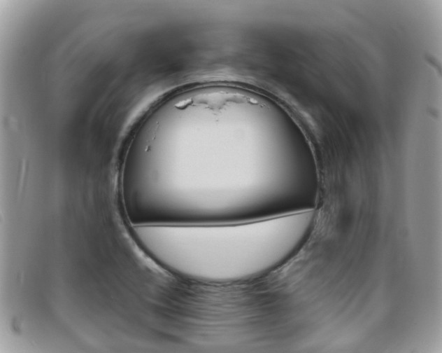 X0000095911416200801110817