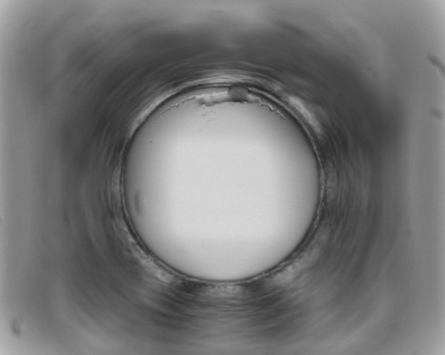 X0000095911417200801110817