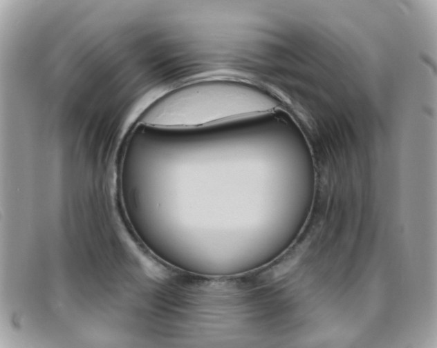 X0000095911418200801110817