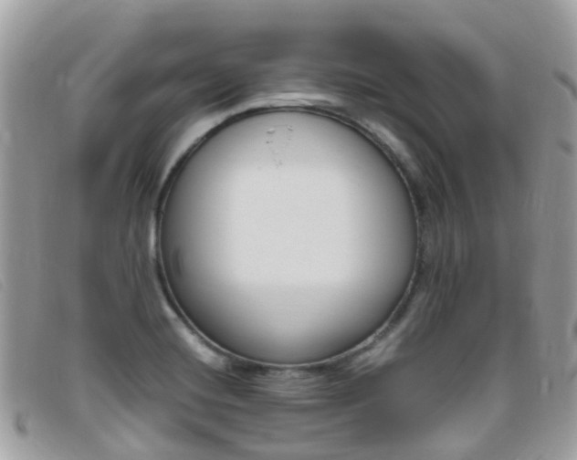 X0000095911420200801110817