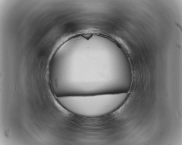 X0000095911421200801110817