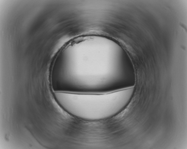 X0000095911422200801110817