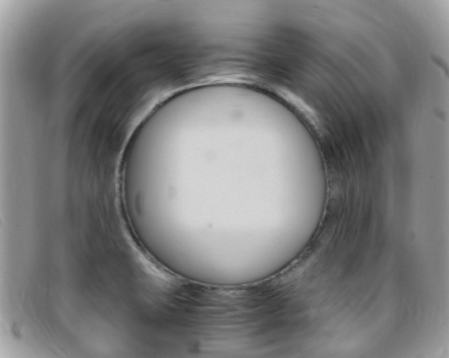 X0000095911423200801110817