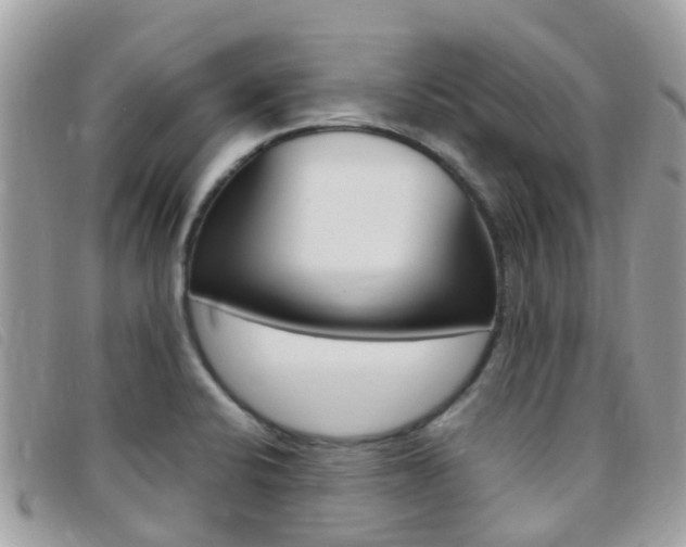 X0000095911424200801110817