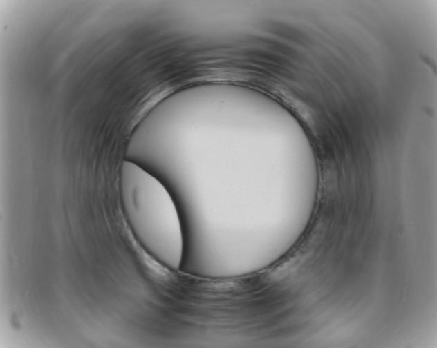X0000095911425200801110817