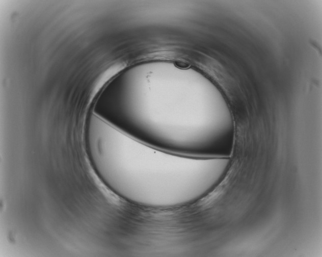 X0000095911426200801110817