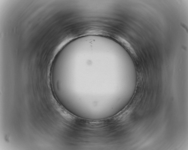 X0000095911427200801110817