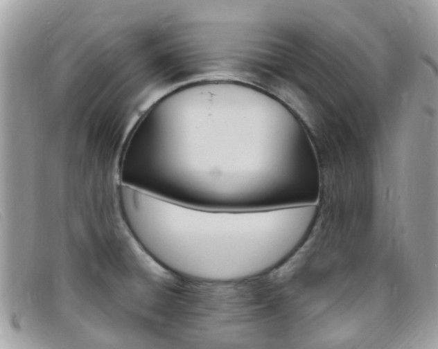 X0000095911428200801110817