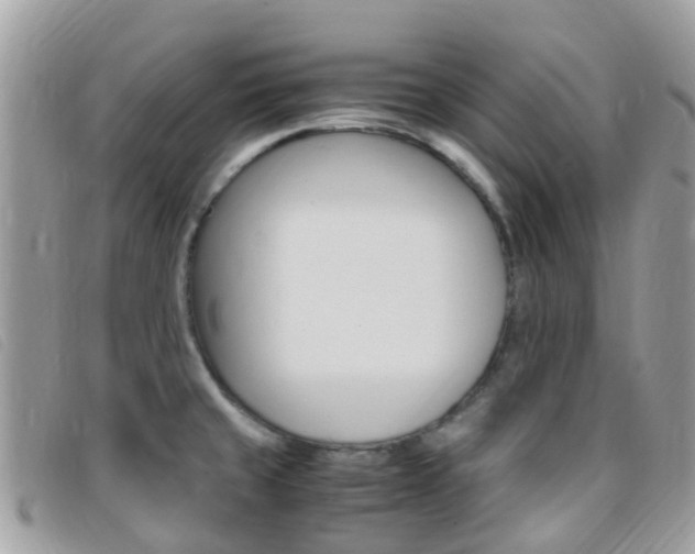 X0000095911429200801110817