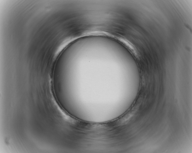 X0000095911430200801110817