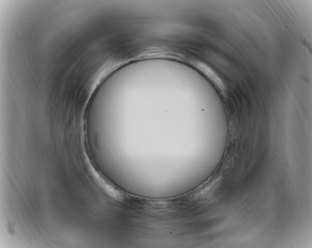 X0000095911431200801110817