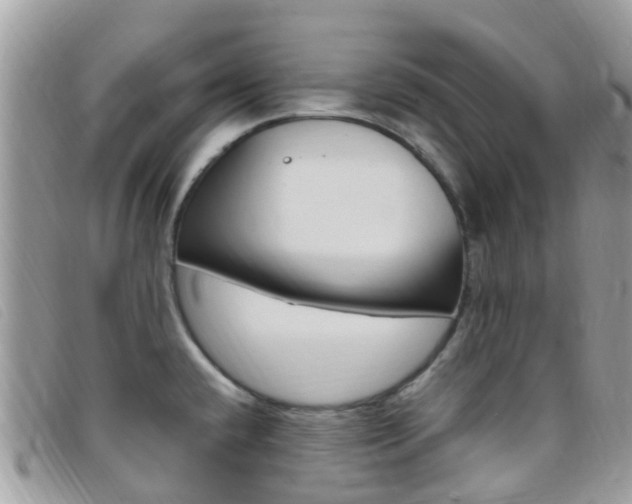 X0000095911432200801110817