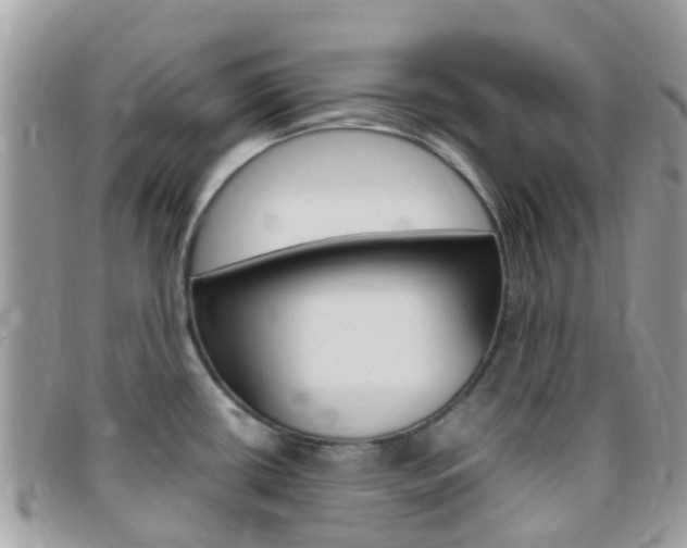 X0000095911434200801110817