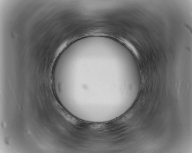 X0000095911435200801110817