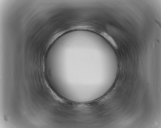 X0000095911436200801110817