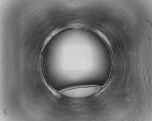 X0000095911437200801110817