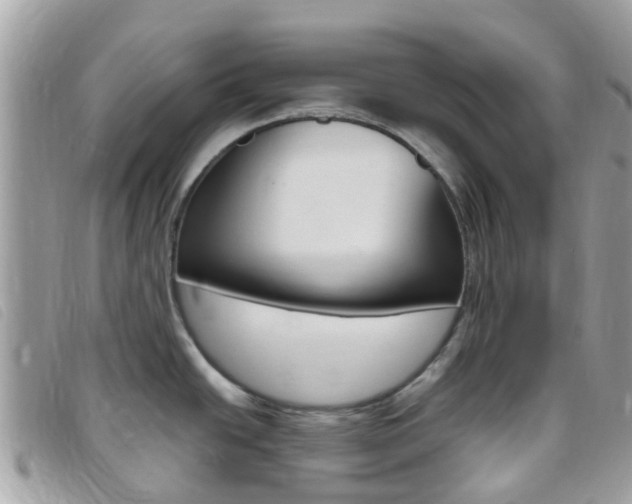 X0000095911438200801110817