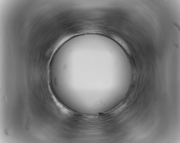 X0000095911439200801110817